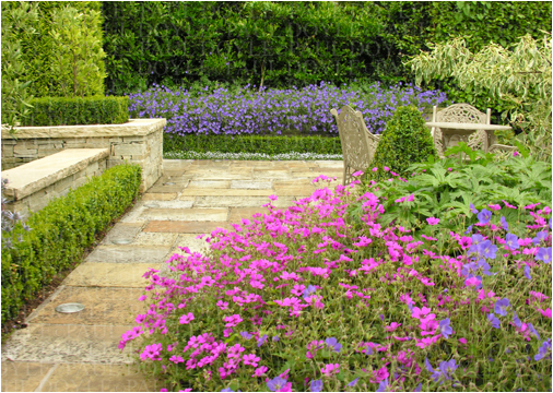 Violet Hill Garden
